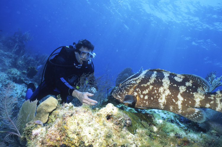 DIVING;UNDERWATER;CAYMAN BRAC;CAYMAN ISLAND;F703 011B 13